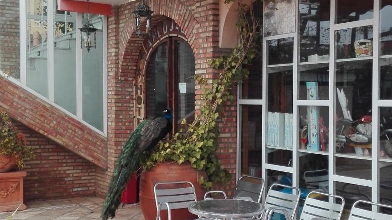 Photo of Outdoor in Arcos de Jalon