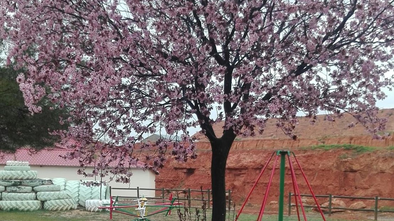 Photo of Outdoor in Arcos de Jalon