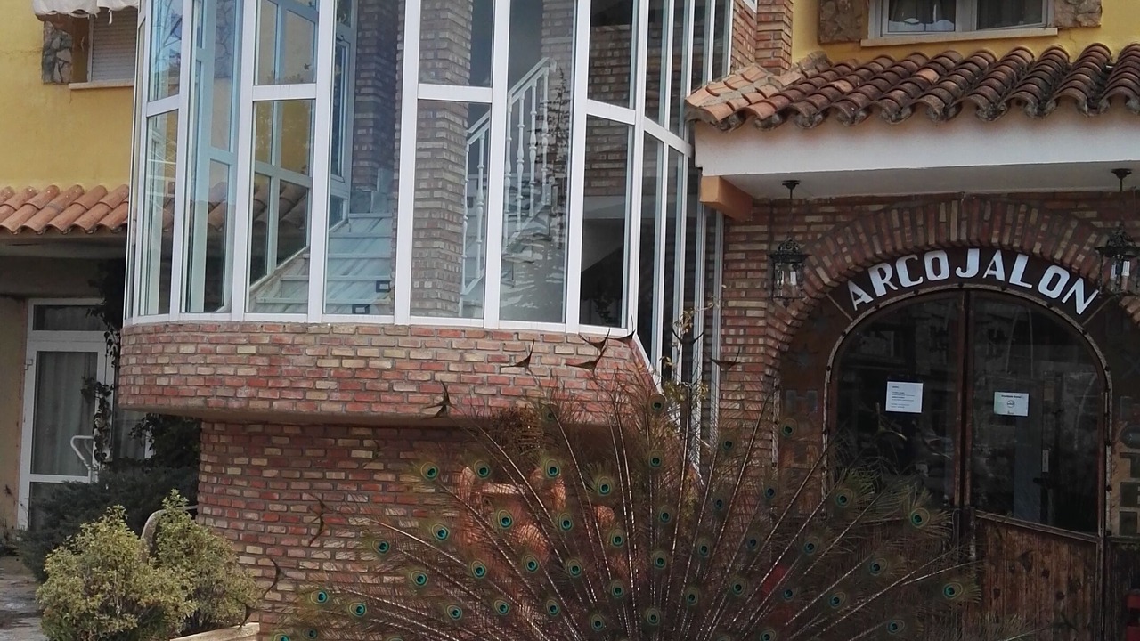 Photo of Outdoor in Arcos de Jalon