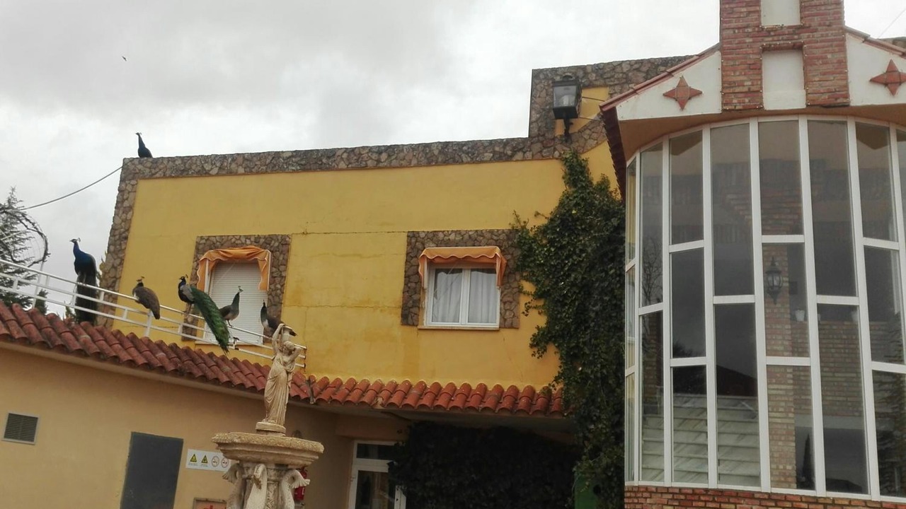 Photo of Outdoor in Arcos de Jalon