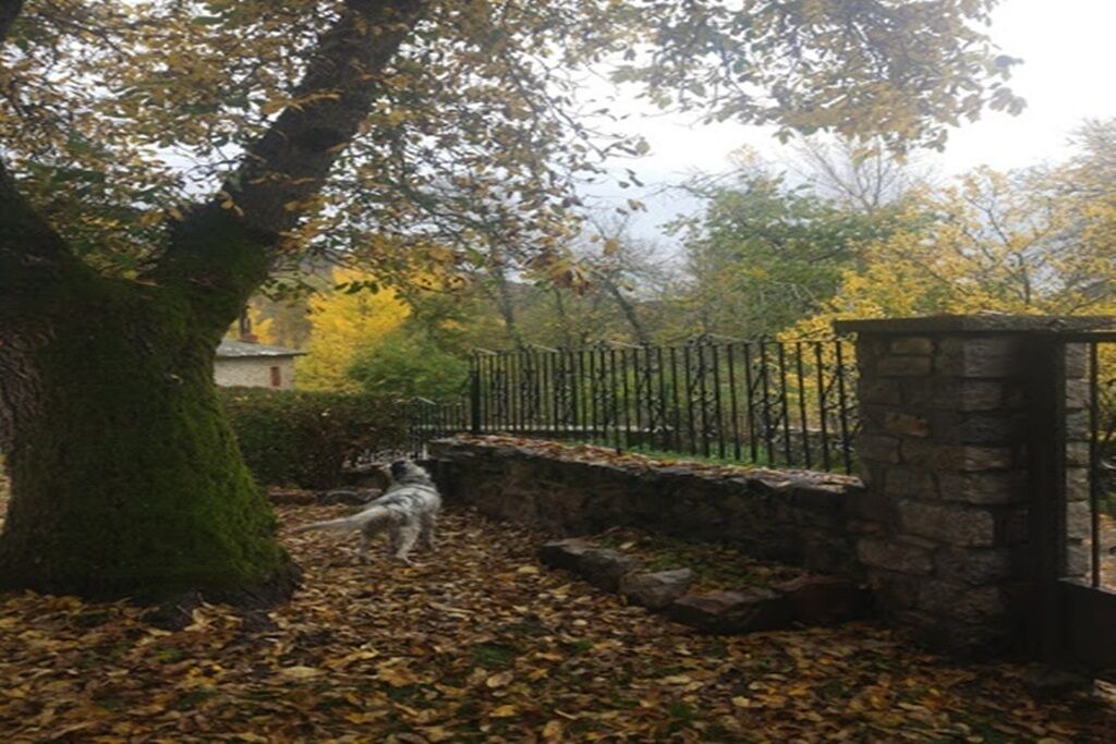 Photo of Outdoor in Cremenes