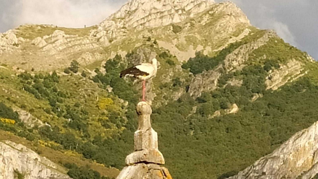 Photo of Outdoor in Cremenes