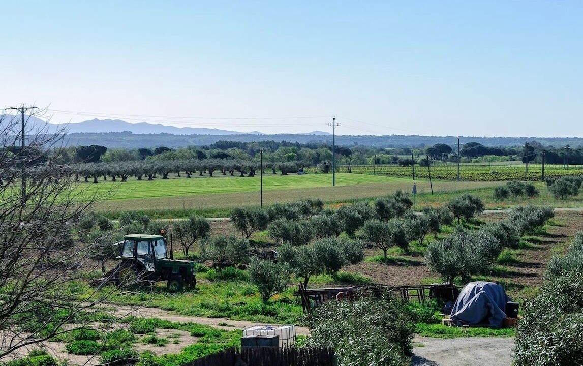 Photo of Outdoor in Masarac
