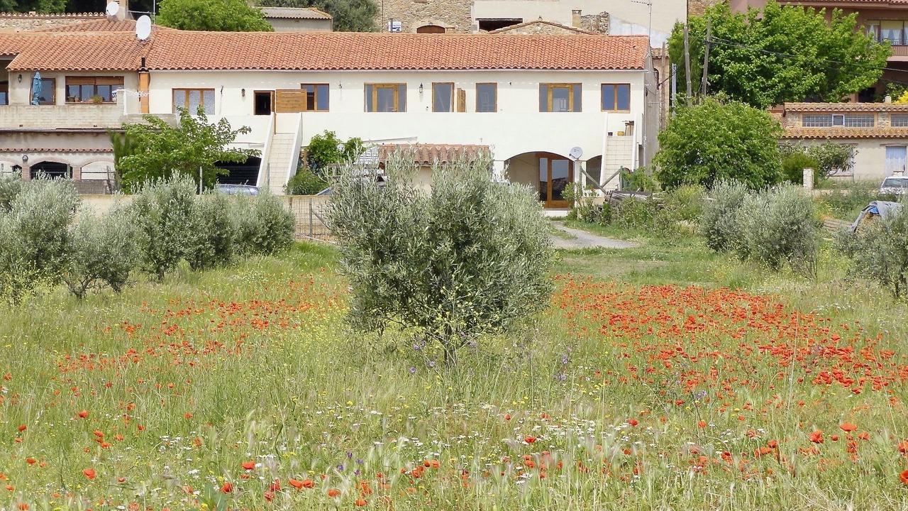Photo of Outdoor in Masarac
