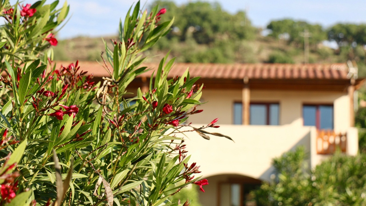Photo of Outdoor in Masarac