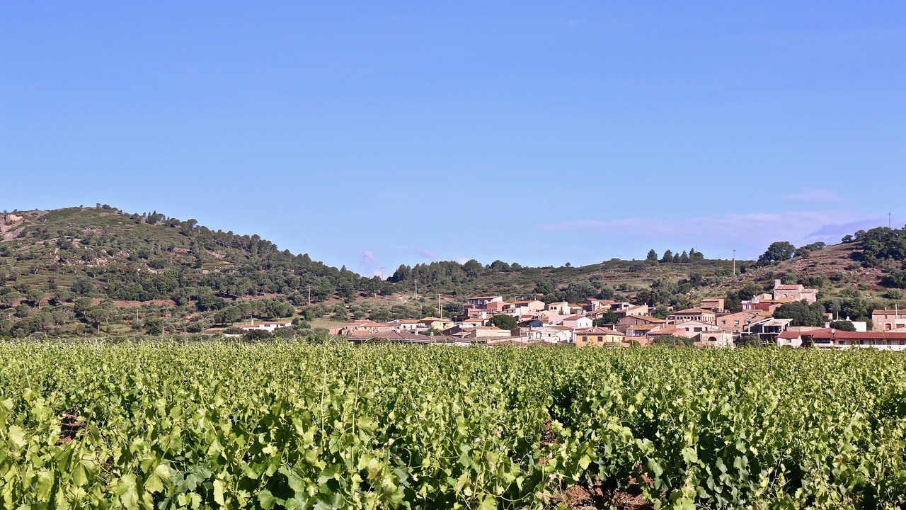 Photo of Outdoor in Masarac