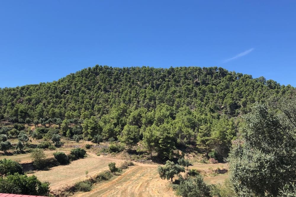 Photo of Others in Valderrobres