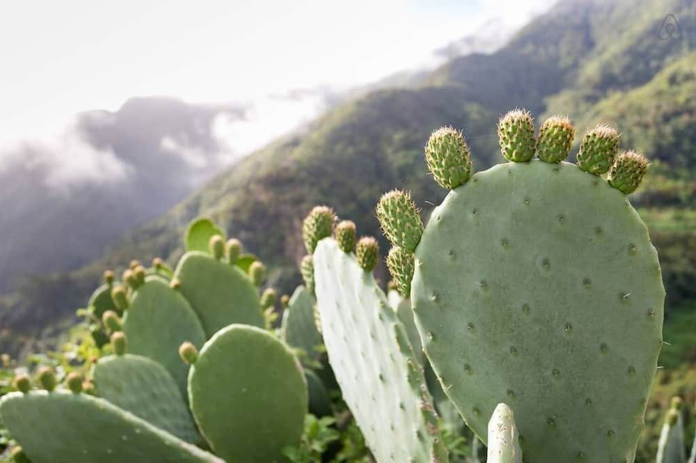 Photo of Outdoor in San Cristobal de La Laguna