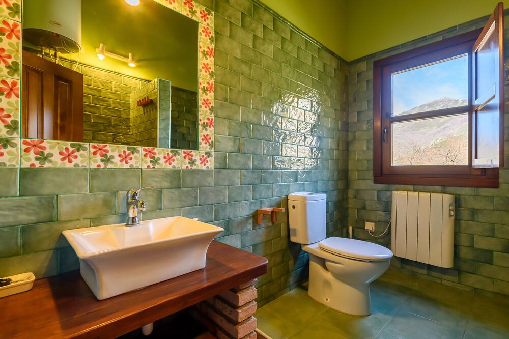 Photo of Bathroom in Llananzanes