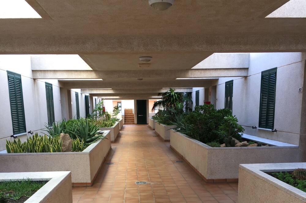 Photo of Others in El Medano