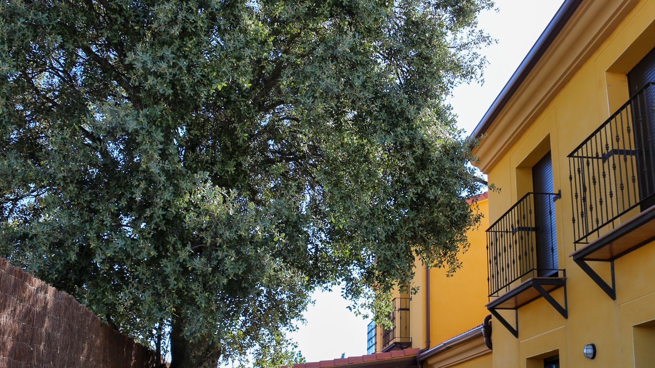 Photo of Outdoor in La Losa