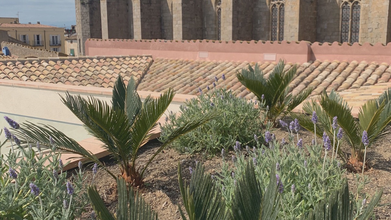 Photo of Outdoor in Castello d'Empuries