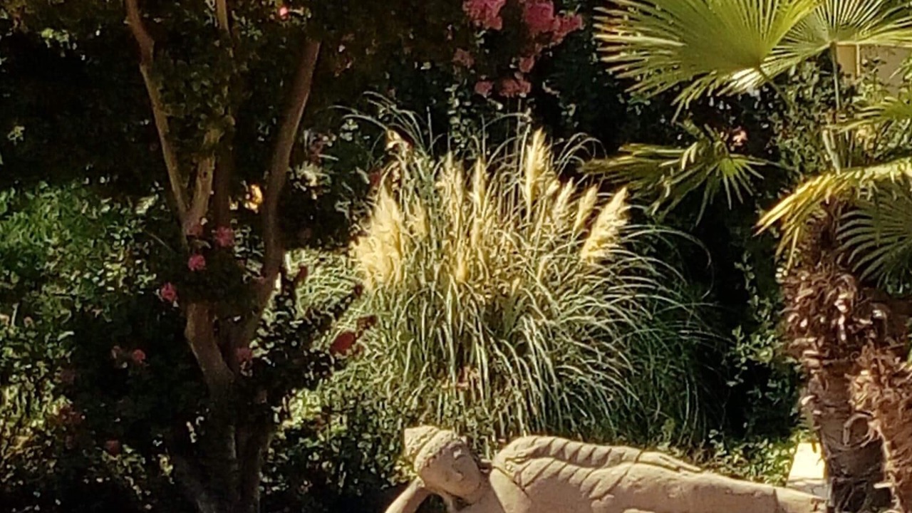 Photo of Outdoor in Can Carbonell