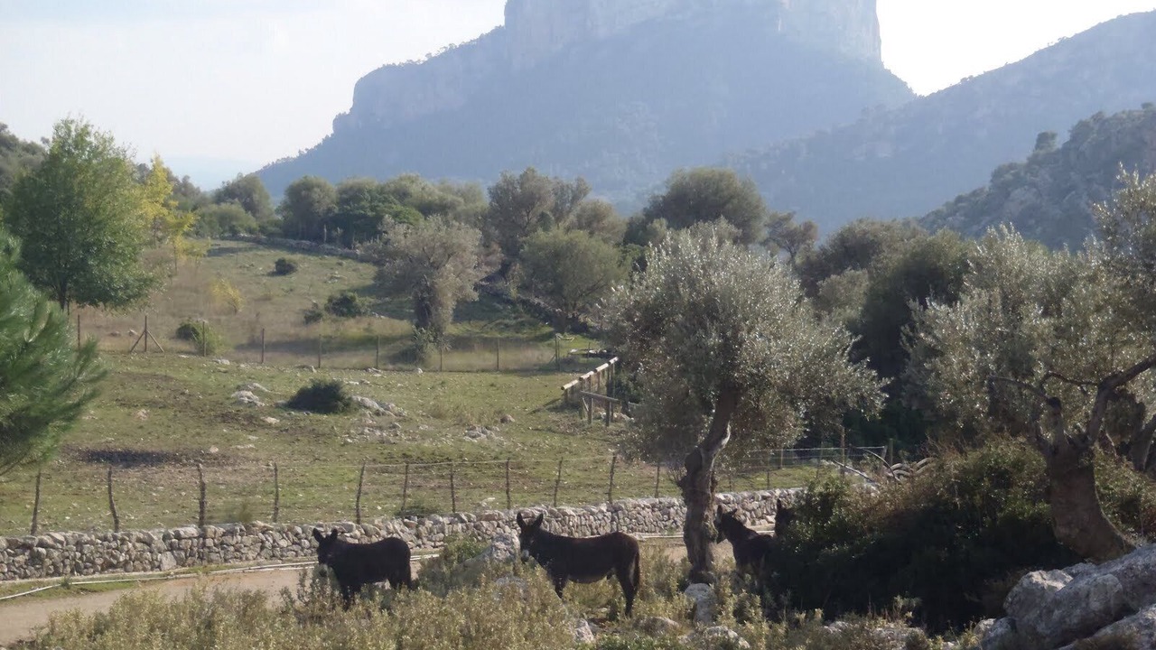 Photo of Outdoor in Alaro