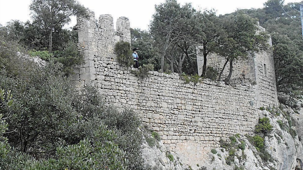 Photo of Outdoor in Alaro