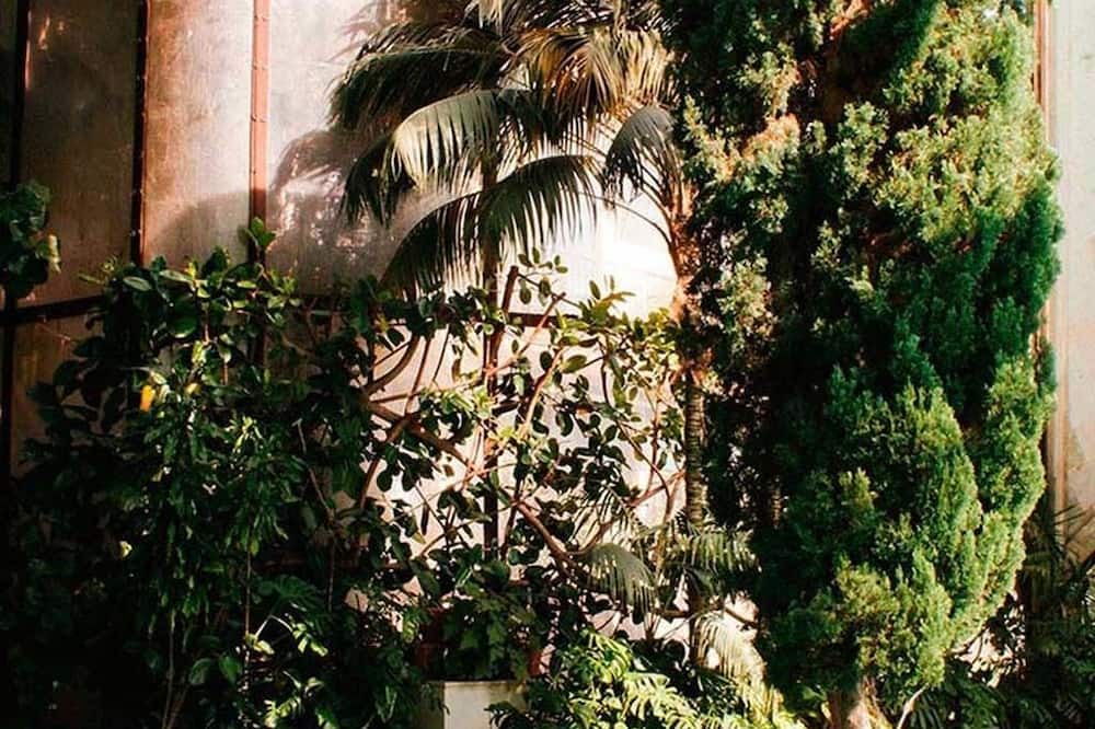 Photo of Outdoor in Burgos