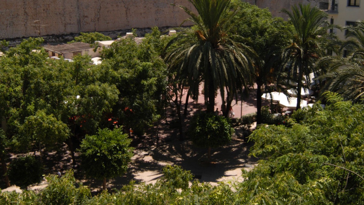 Photo of Others in Ibiza City Centre