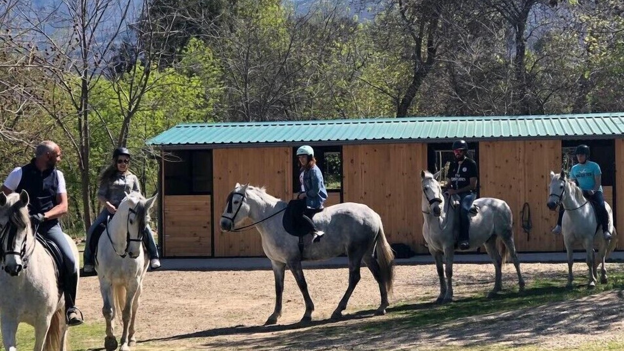 Photo of Others in Hervas