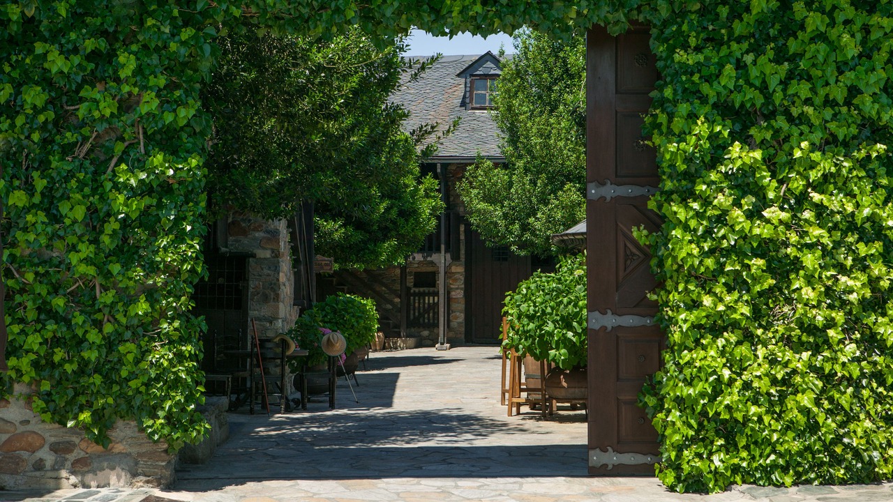 Photo of Outdoor in Arborbuena