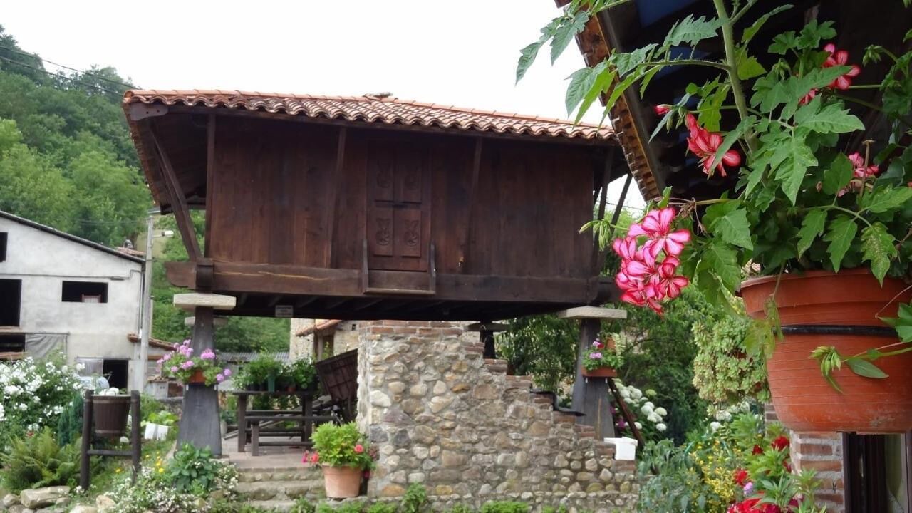 Photo of Outdoor in Soto de Cangas