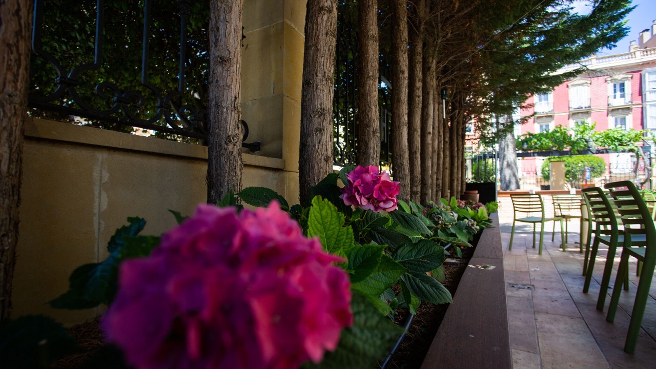 Photo of Outdoor in Haro