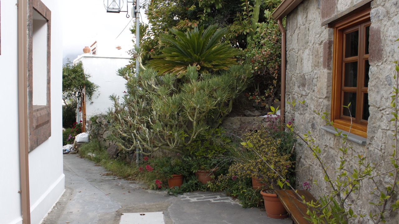 Photo of Outdoor in Tejeda
