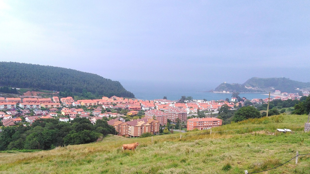 Photo of Others in Sebreno
