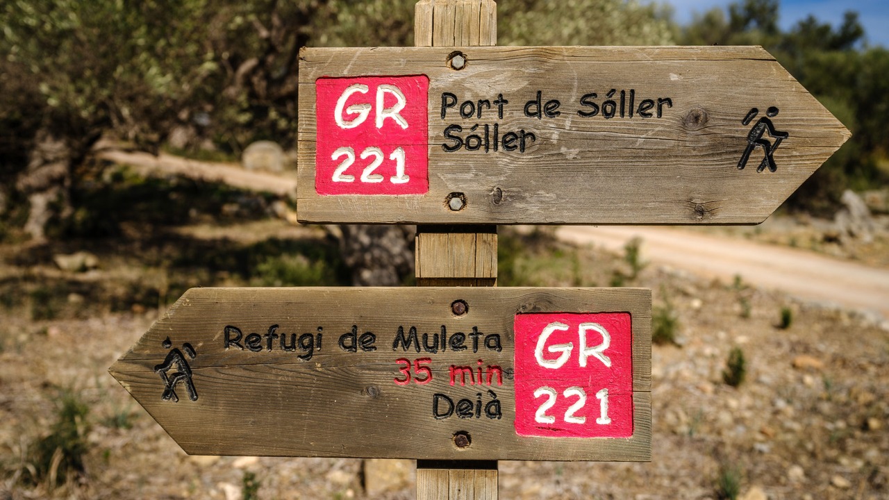 Photo of Outdoor in Soller