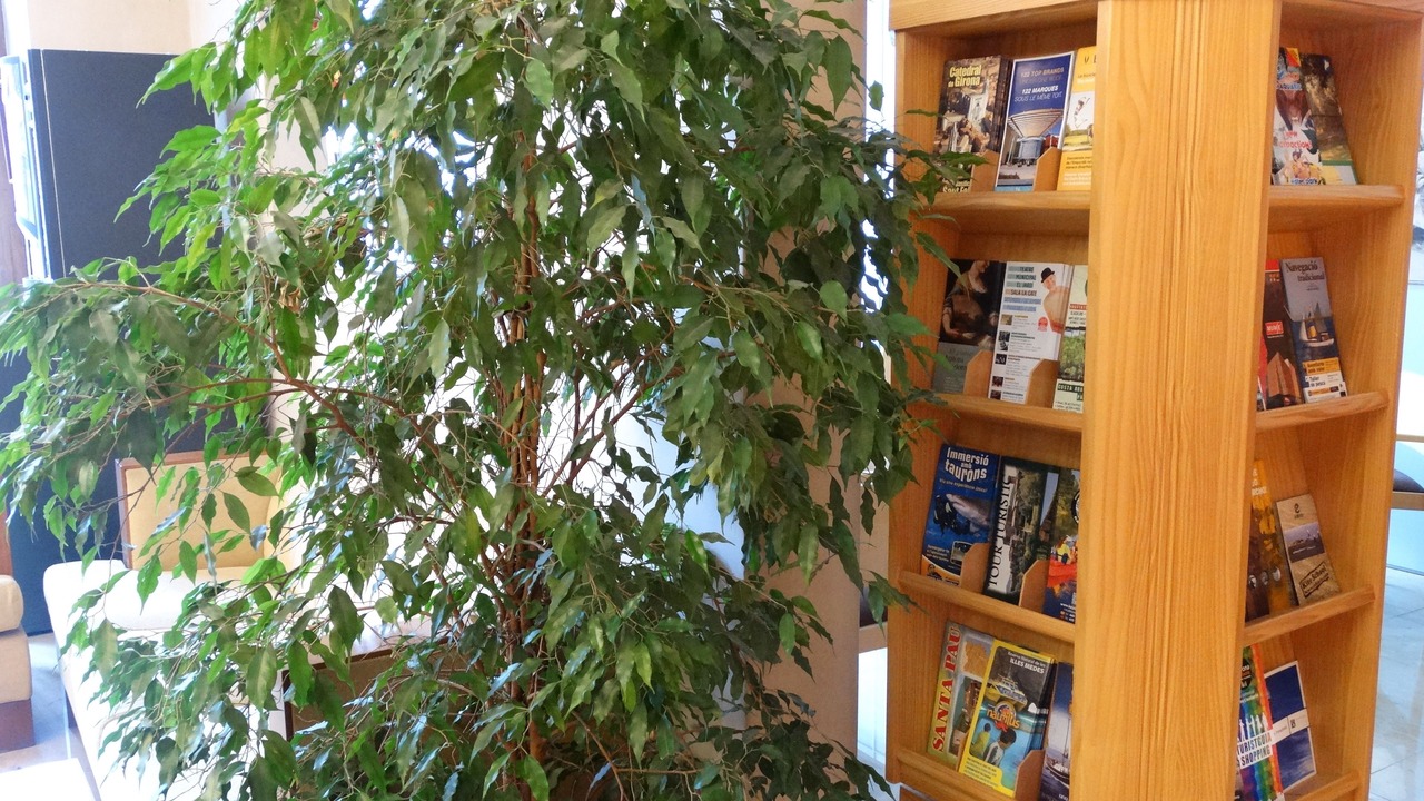 Photo of Others in Figueres