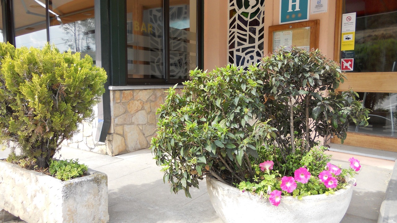 Photo of Outdoor in Vilafreser