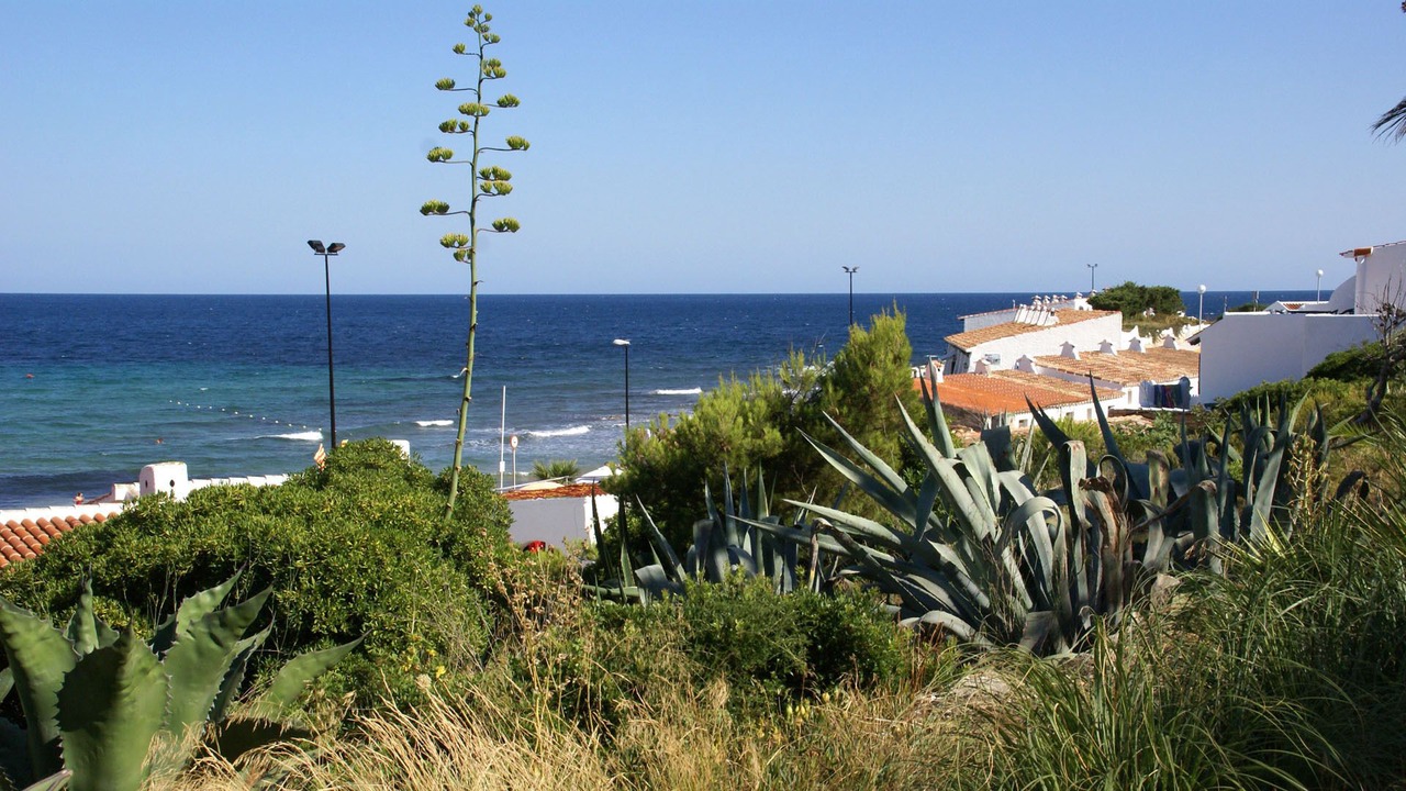 Photo of Others in L Almadrava