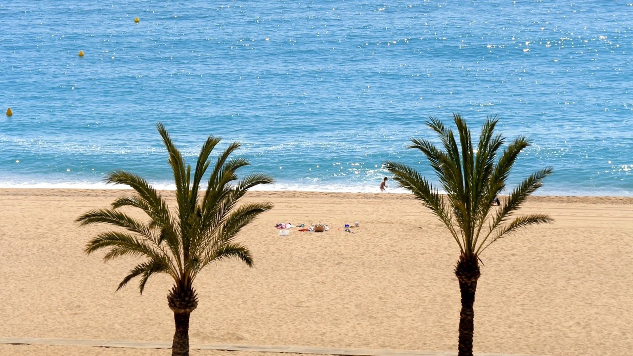 Photo of Others in Calella