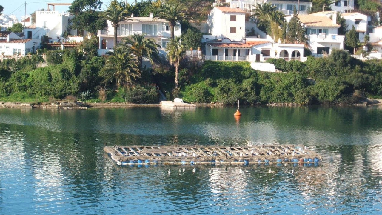 Photo of Outdoor in Es Castell