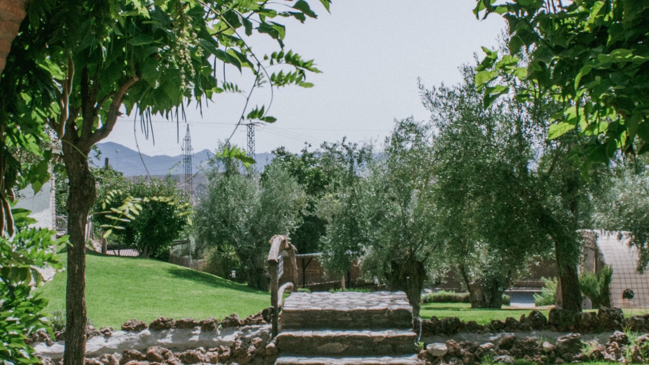 Photo of Outdoor in Niguelas