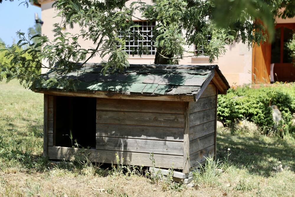 Photo of Others in Llagostera