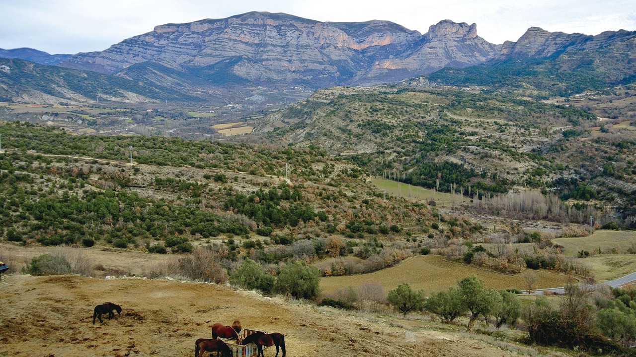 Photo of Others in Roda de Isabena