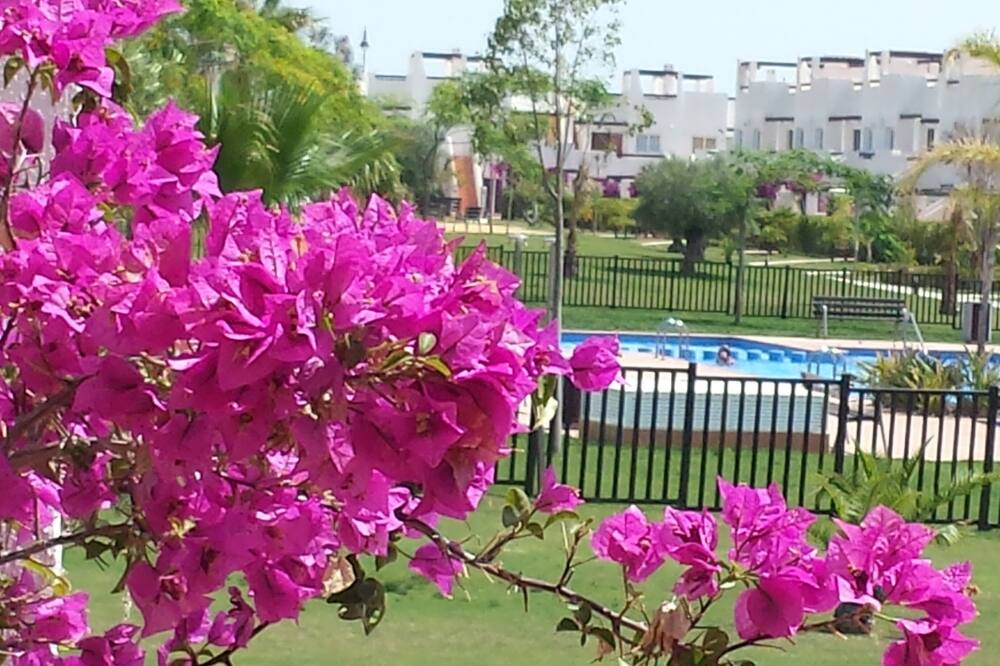 Photo of Outdoor in Alhama de Murcia