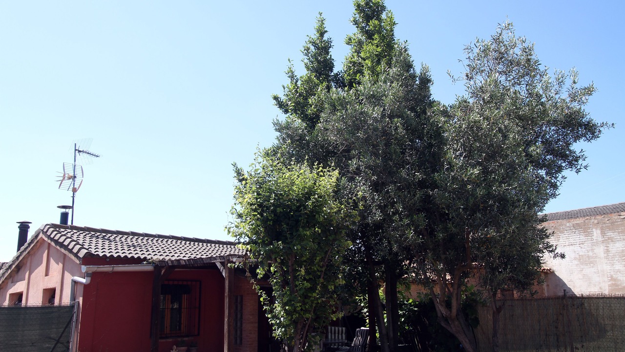 Photo of Outdoor in Albelda de Iregua