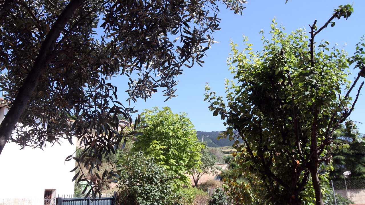 Photo of Outdoor in Albelda de Iregua