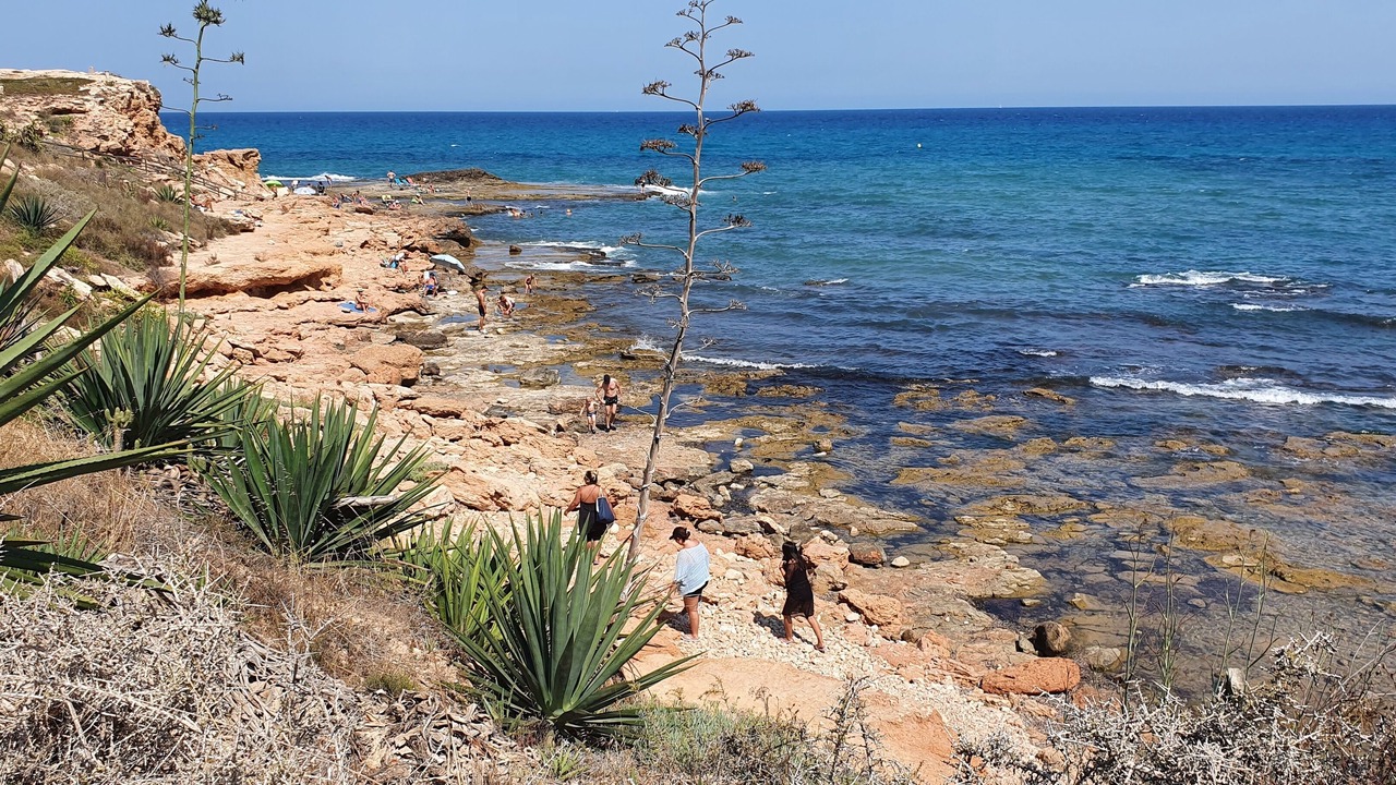 Photo of Others in Torrevieja