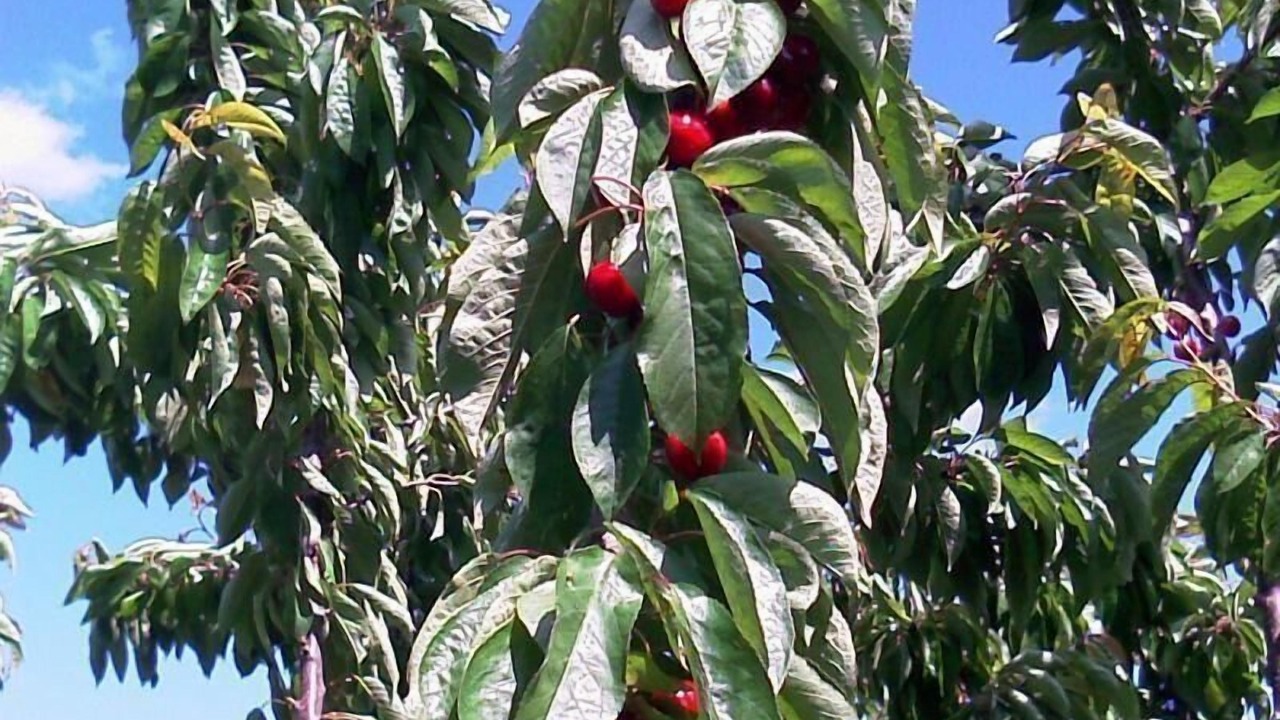 Photo of Outdoor in Sotoserrano