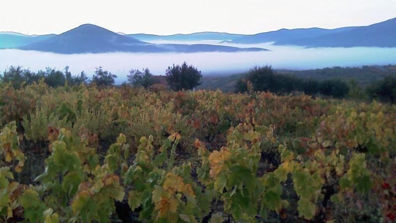 Photo of Others in Sotoserrano
