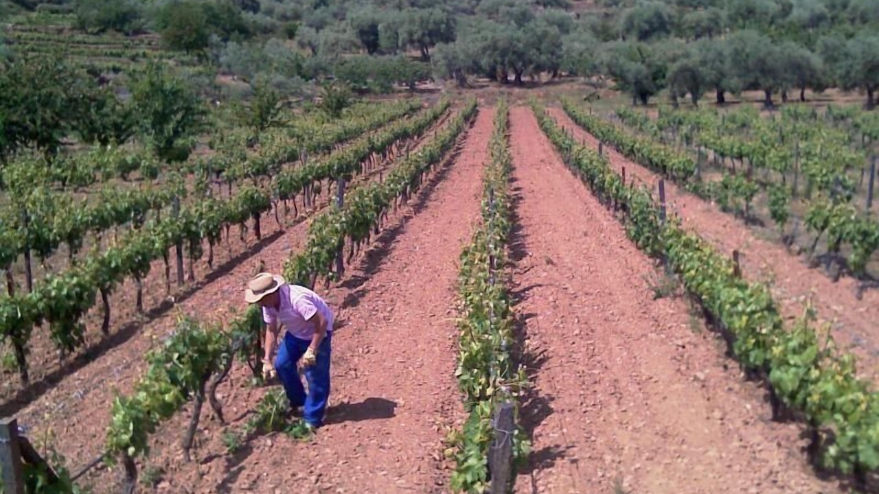 Photo of Others in Sotoserrano