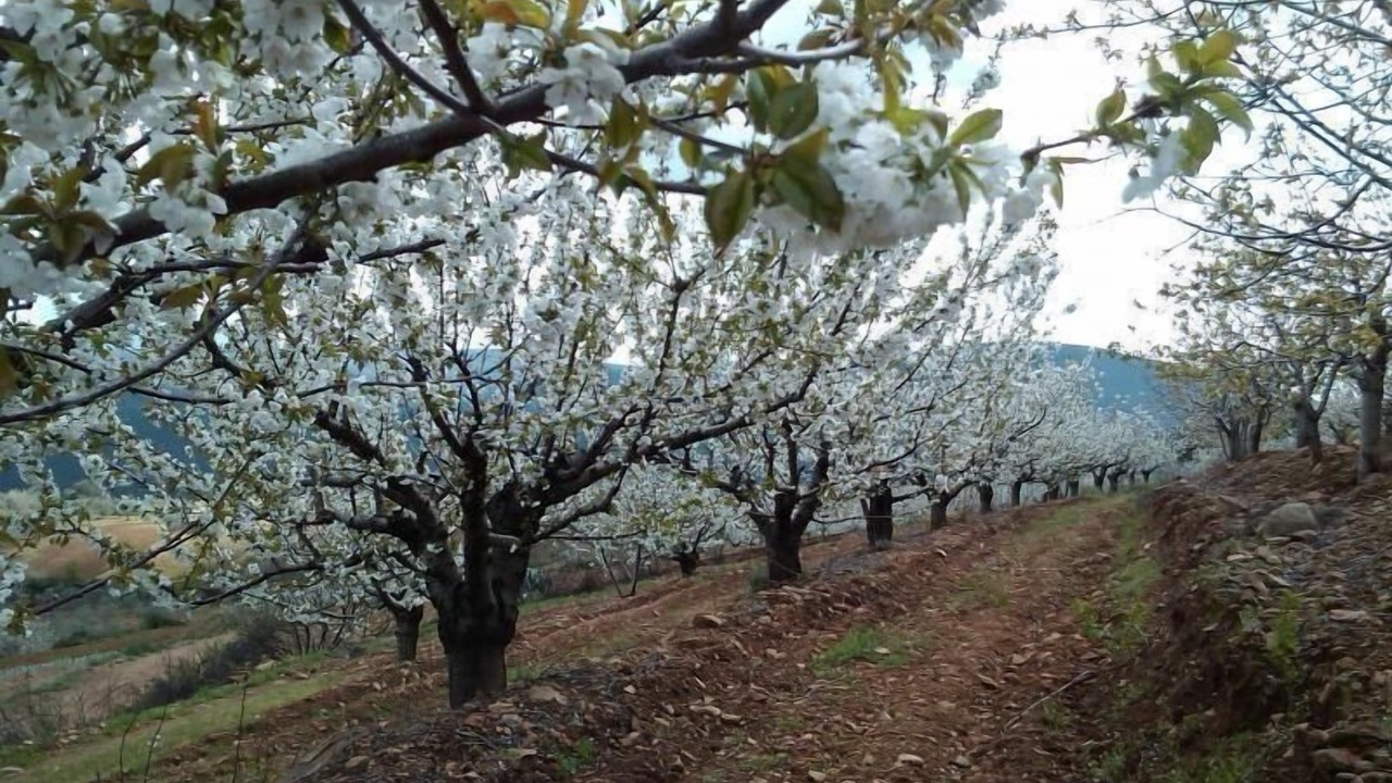 Photo of Outdoor in Sotoserrano