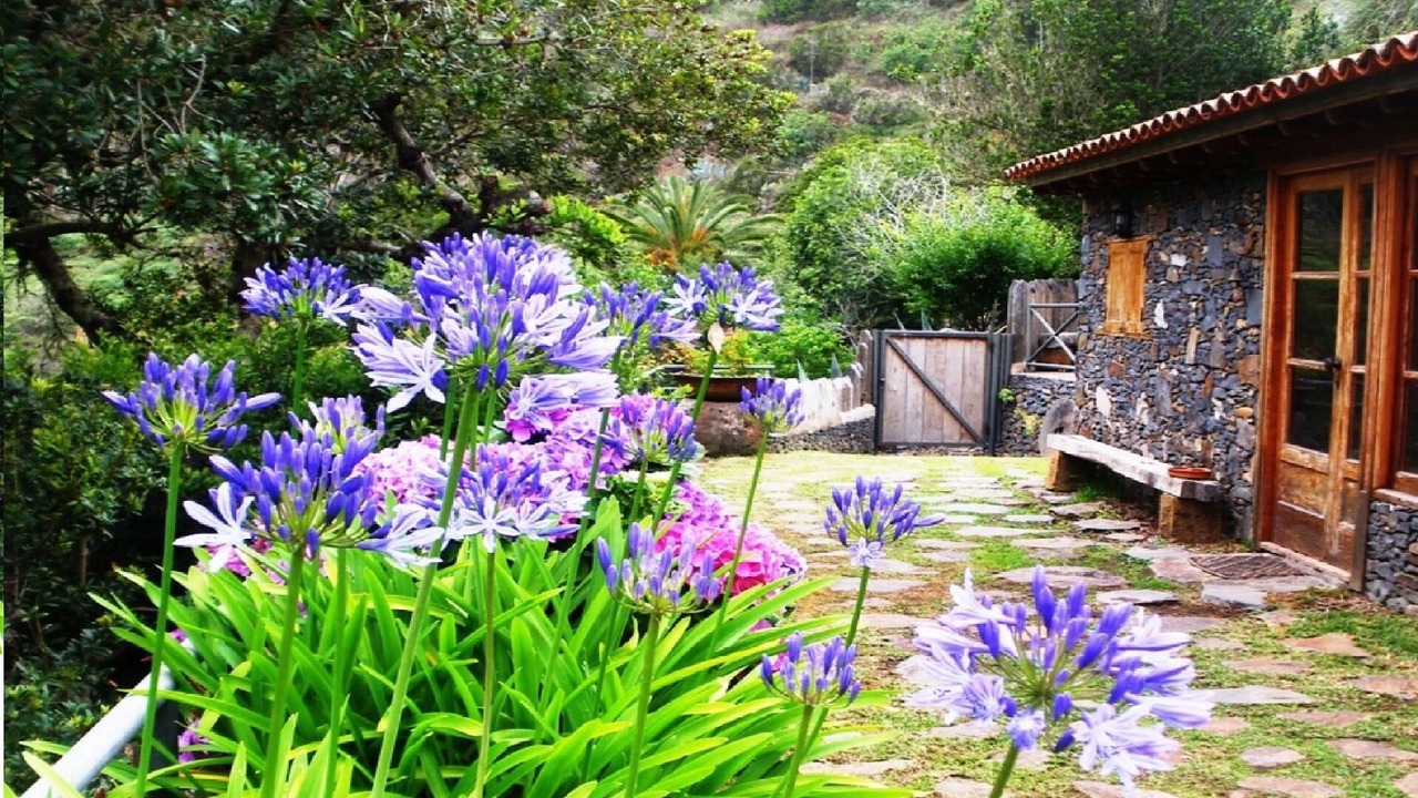 Photo of Outdoor in Agulo