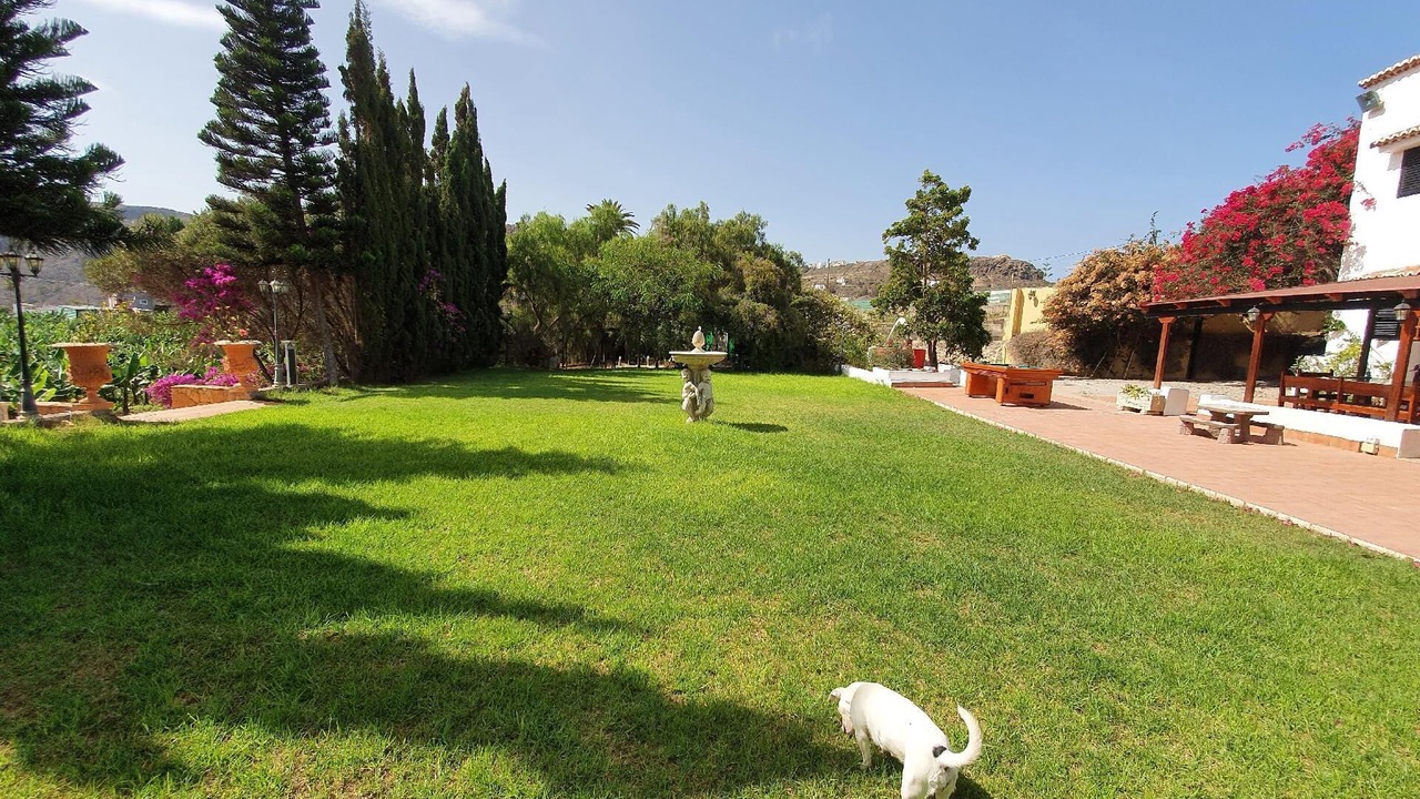 Photo of Outdoor in Moya