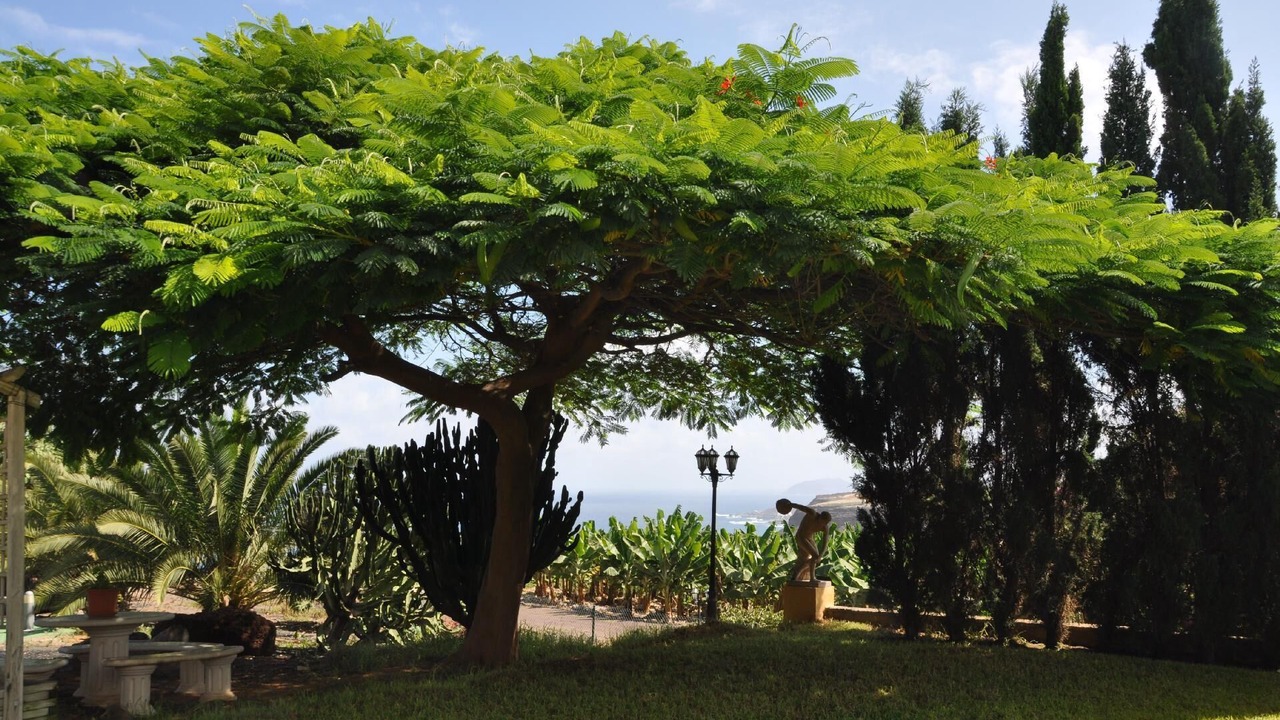 Photo of Outdoor in Moya