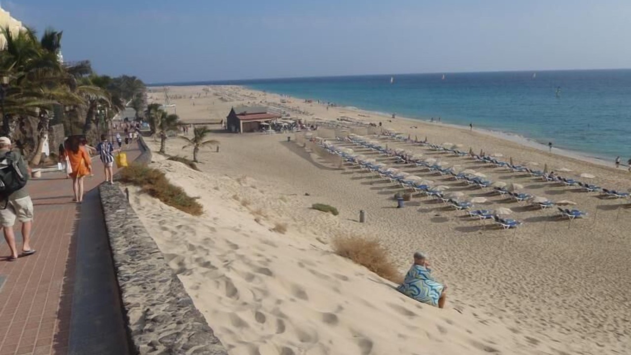 Photo of Others in Solana del Matorral