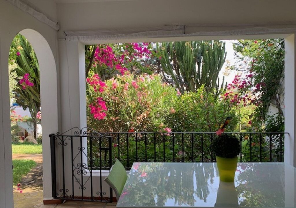 Photo of Outdoor in Puerto Rey