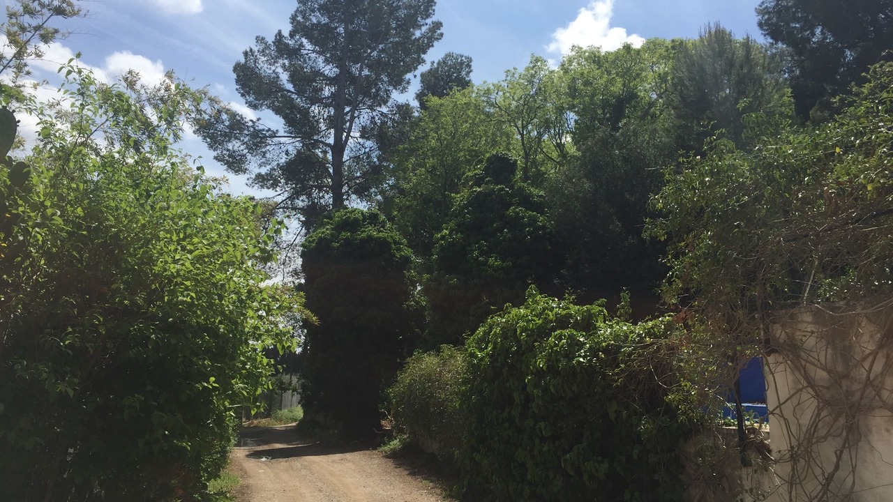 Photo of Outdoor in Xerta